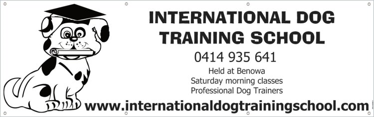 dog school.png